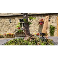 Krumpholz Tools - Bonsai Fork