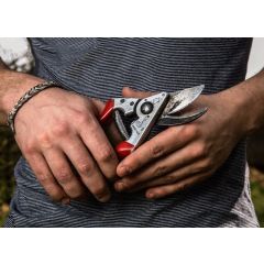 Felco 8 Secateurs