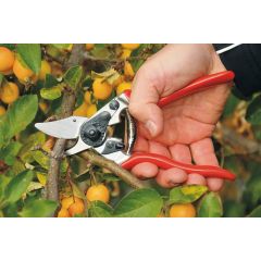 Felco 6 Secateurs