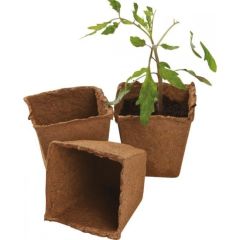 Square Fibre Pots - 6cm