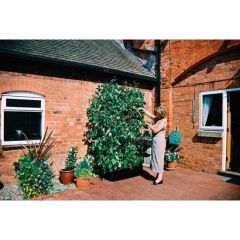 Mini Grow Bed & Crop Support Frame