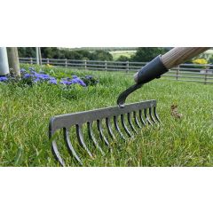 Krumpholz Rake