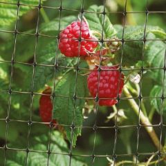 Fleximesh Protection Netting - 2m Wide - Per Mtr