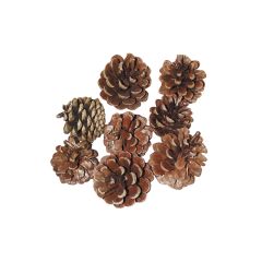 Natural Pine Cones