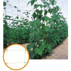 Polypropylene Mesh