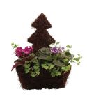 Tree Shape Salim Planter
