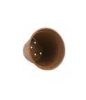 Bamboo Propagation Pots - Terracotta - 4"