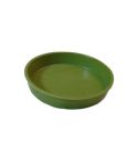 Bamboo Propagation Saucers - Sage Green - 3"