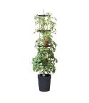 Self Watering Grow Pot Tower - Anthracite
