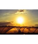 Cloche Hoops - 36"
