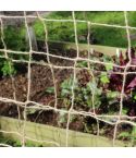 Jute Plant Support Netting