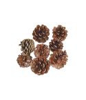 Natural Pine Cones