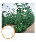 Polypropylene Mesh