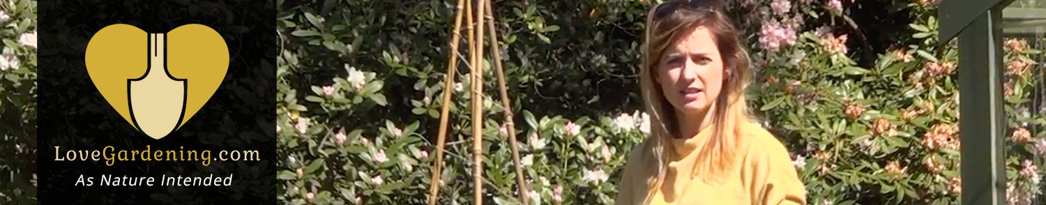&quot;How To&quot; Create a Cane Plant Support with Katie Rushworth