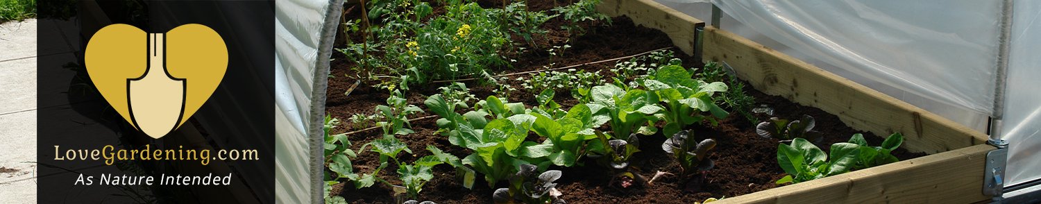 "How To" Prepare a Veg Bed with Katie Rushworth