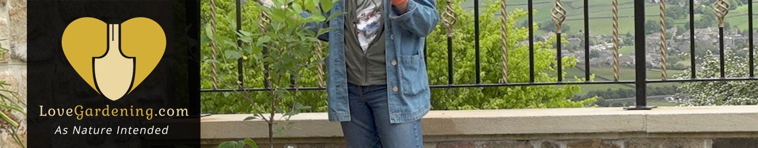 &quot;How To&quot; Plant An Edible Planter With Katie Rushworth