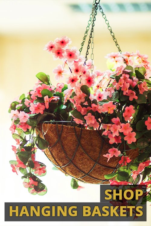 Shop Hanging Baskets
