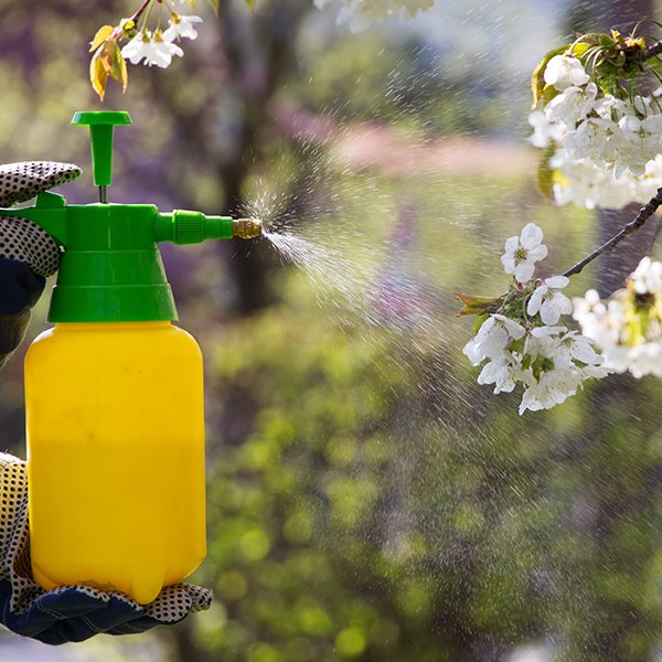 Chemicals & Crop Protection