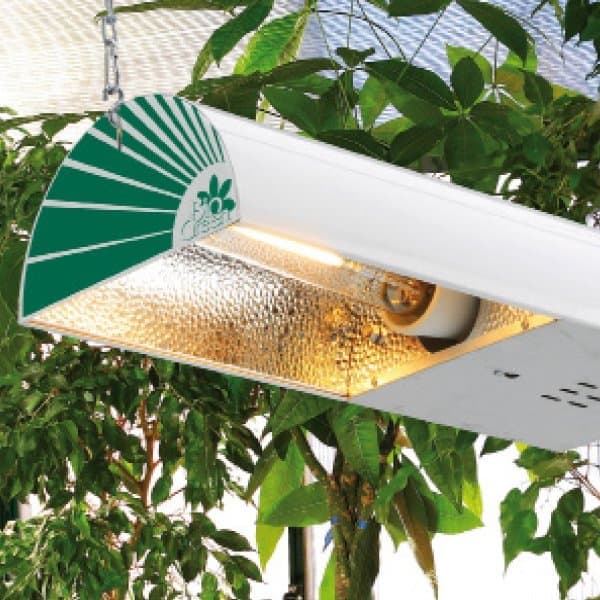 Heating & Lighting