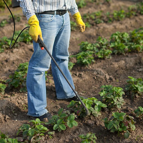 Sprayers