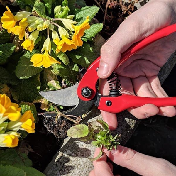 Gardening Tools