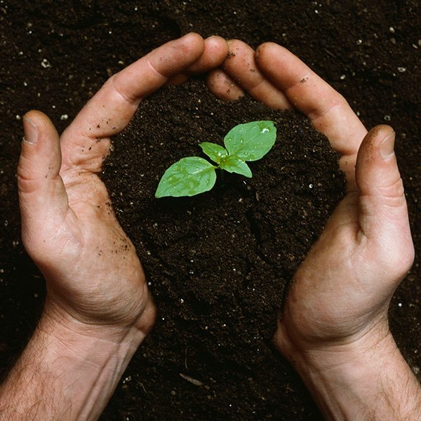 Homemade Compost & Fertiliser