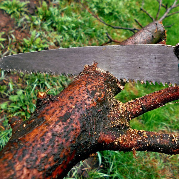 Replacements & Accessories