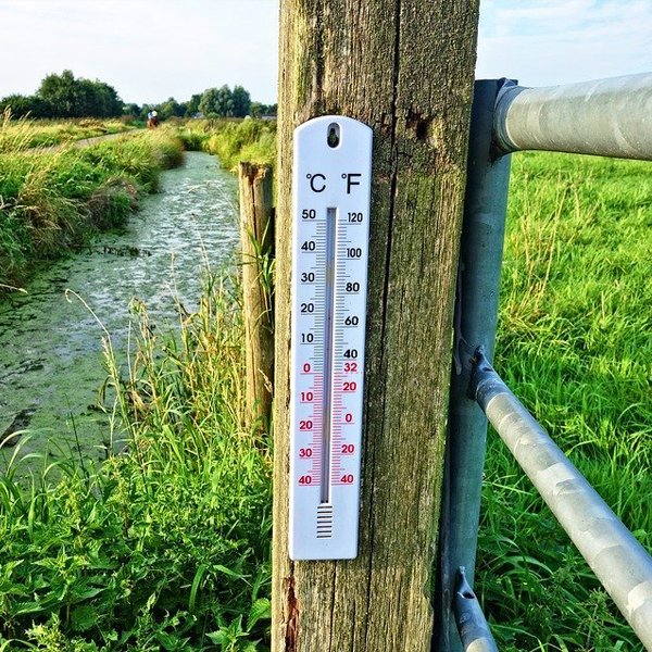 Thermometers & Testing Equipment